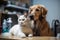 pair of feline and canine scientists working together in laboratory, conducting scientific experiments