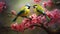 A pair of finch birds perched on a blooming branch,