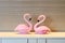 Pair of flamingoes inside living room