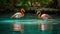 A pair of flamingos wading in a shallow pool of turquoise water created with Generative AI