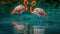 A pair of flamingos wading in a shallow pool of turquoise water created with Generative AI