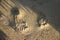 Pair of footprints on beach sand