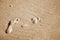 Pair footprints on a sand