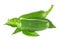 Pair of fresh organic jalapeno chili pepper with green leaves.