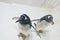Pair of funny Gentoo penguins Pygoscelis papua at zoo on ice background