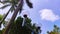 A pair of garden lights next to a palm tree soaring in the blue sky