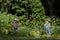 Pair of Garden Scarecrows Practicing Social Distancing With Masks