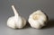 Pair of Garlic Bulbs