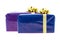 Pair of giftbox colorful blue and purple two gifts with a golden ribbon on an isolated background