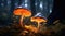 a pair of glowing mushrooms in the forest