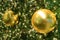 Pair of gold shiny ball Christmas ornaments on sparkling Christmas tree