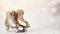 A pair of golden ice skates isolated on a grey bokeh background. Golden ice skates banner with copy space for text. Winter sports
