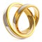 Pair of Golden Platinum Wedding Rings Isolated on