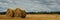 a pair of golden straw round bales in the foreground on a field with post-harvest stubble and a forest belt in the background