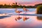 A pair of graceful flamingos wading in the shallows of a tranquil, pink-hued saltwater lagoon