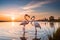 A pair of graceful flamingos wading in the shallows of a tranquil, pink-hued saltwater lagoon