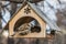 A pair of gray and brown sparrows eats in an old yellow bird and squirrel feeder house from plywood in the park