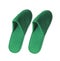 Pair of green slippers on white