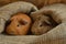 pair of guinea pigs resting in a cuddle sack, plush fabric