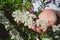 Pair of hands holding a cluster of tiny, white spring flowers. Spiraea Arguta