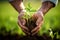 a pair of hands holding a small plant in soil