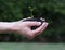 Pair of Hands Holding Soil with Seedling Sprouting