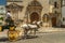 A pair of harnessed horses and the facade of the Victoria Church. Jerez de la Frontera, Andalusia, Spain. 13.05.2019