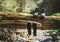 Pair of high trekking high-top boot drying up with wet socks on the felled over forest creek tree under the warm autumn sun.