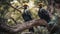 A pair of hornbills perched in a tree created with Generative AI