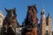 Pair of horses with in the background the facade of the Basilica of Saint Mary in the historic center of Krakow, Poland