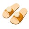 Pair of house slippers with pom poms in tan textile