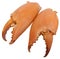 Pair of huge crabs pincers