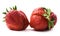 Pair of imperfect organic fresh ripe heirloom strawberries isolated