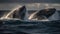 A pair of impressive humpback whales breaching the surface of an ocean created with Generative AI