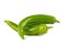 Pair or Jalapenos (Green Chilies)