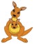 Pair of kangaroos