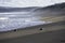 Pair Of Kelp Seagulls larus dominicanus On Afternoon Beach