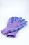 Pair of ladies blue and purple gardening gloves on white