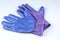 A pair of ladies blue and purple gardening gloves on white