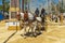 A pair of light gray horses with traditional red and yellow tassels on a bridles harnessed to a carriage during the horse feria in