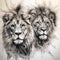 Pair lion lions portrait drawing sketch illustration