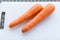 Pair long fresh raw carrot on a plastic cutting board is white color.