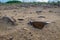 A pair of lost sunglasses on a deserted beach