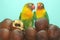 A pair of lovebirds are perched in the snakefruits group.