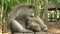 A pair of macaques rests in the park on a bench