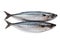 Pair of a mackerel, on a white.