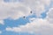 A pair of mallards flying in the spring sky