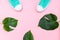 Pair of mint color canvas and tropical leaves, monstera on pink