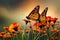 A pair of monarch butterflies delicately perched on a blooming flower