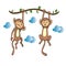 A pair of monkeys hanging from a tree branch